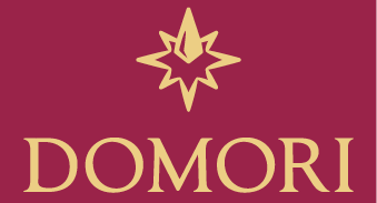 domoricom-logo-1662551380